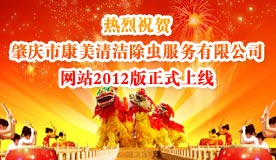 肇庆市康美清洁除虫服务有限公司网站2012版正式上线